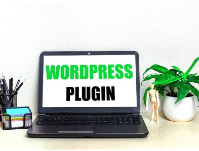Apa Itu Plugin Pada WordPress Atau CMS Lainnya